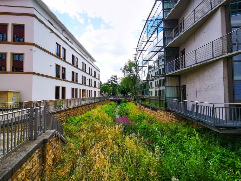 Ein schmaler, von hohem grünen Gras und Wildblumen gesäumter Bach fließt an einem teilweise bewölkten Tag zwischen zwei modernen Gebäuden mit Balkonen in Erfurt.