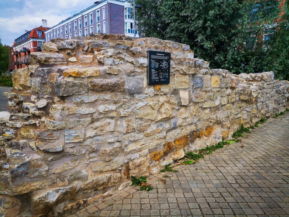 Eine verwitterte Steinmauer mit einer historischen Gedenktafel steht neben einem gepflasterten Weg in Erfurt. Im Hintergrund sind Bäume und mehrstöckige Backsteingebäude zu sehen.