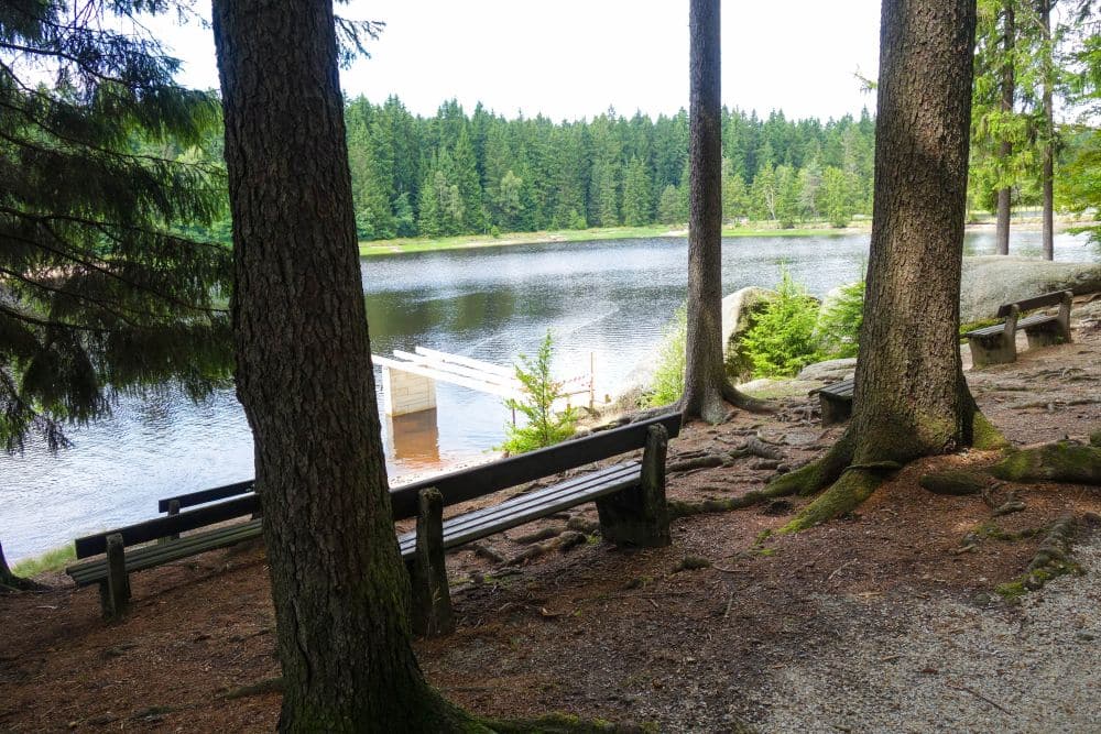 Holzbänke und Bäume überblicken das ruhige Wasser des Fichtelsees, mit einem kleinen Steg inmitten eines dichten, immergrünen Waldes unter einem strahlenden Himmel.