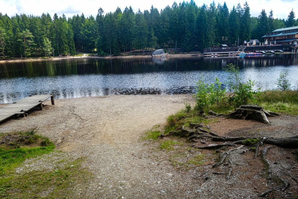 Der Fichtelsee ist ein ruhiger, von Kiefern gesäumter See mit einem hölzernen Steg, der über das Wasser ragt. Am anderen Ufer befinden sich Gebäude mit Anlegestellen und Booten jenseits eines sandigen, felsigen Ufers und freiliegenden Wurzeln im Vordergrund.