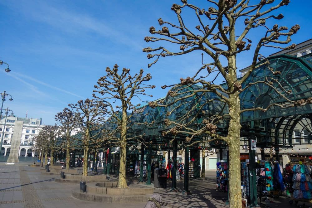 Reihen von blattlosen, beschnittenen Bäumen säumen einen Bürgersteig in Hamburg neben einem glasüberdachten Markt, wo Stände an einem klaren Tag in dieser lebendigen Stadt bunte Waren anbieten.