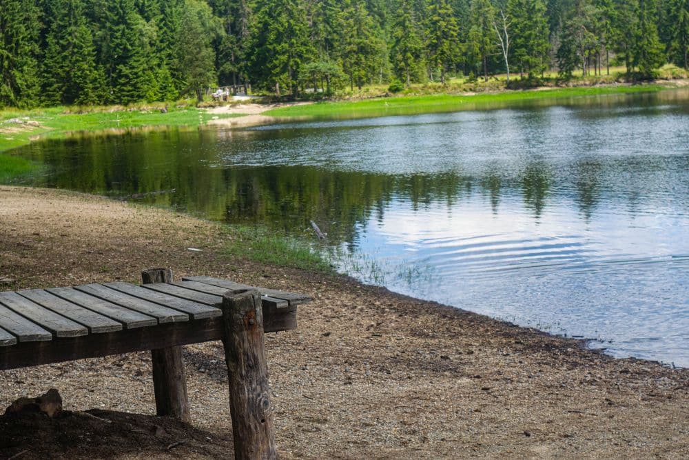 Eine rustikale Holzbank steht am Sandstrand des Fichtelsees neben einem ruhigen See, umgeben von einem dichten grünen Wald unter einem hellen Himmel. Im Wasser spiegeln sich die Bäume entlang des ruhigen Ufers.