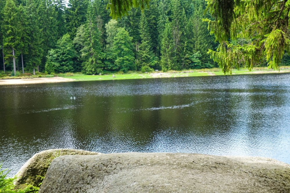 Ein ruhiger See mit dunklem Wasser, der Fichtelsee, wird von einem dichten Wald mit grünen Bäumen gesäumt; ein großer Felsen liegt im Vordergrund am Ufer unter überhängenden Ästen.