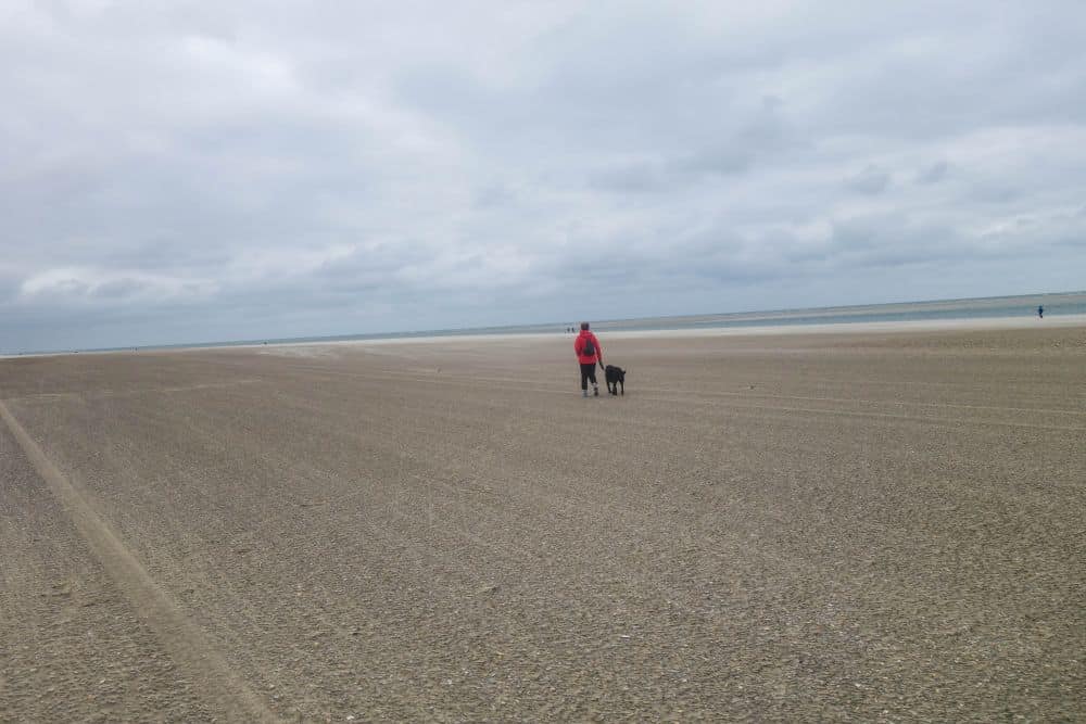 Eine Person in roter Jacke geht mit einem schwarzen Hund am weiten, leeren Strand von Blavand unter einem wolkenverhangenen Himmel spazieren, der den wildromantischen Westen von Dänemarks Westen mit dem Meer in der Ferne umarmt.