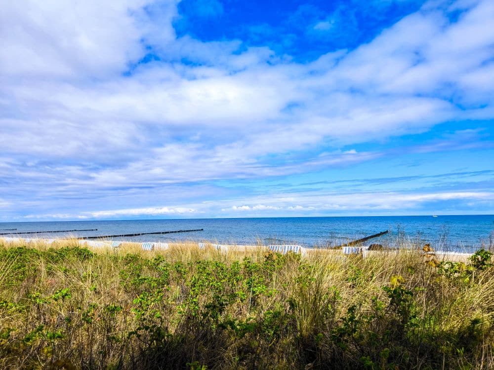Ein Sandstrand in Kühlungsborn mit hohen Gräsern im Vordergrund, blauen Meereswellen und einem teilweise bewölkten Himmel. Holzpfähle ragen ins Wasser und schaffen eine friedliche Küstenszene.