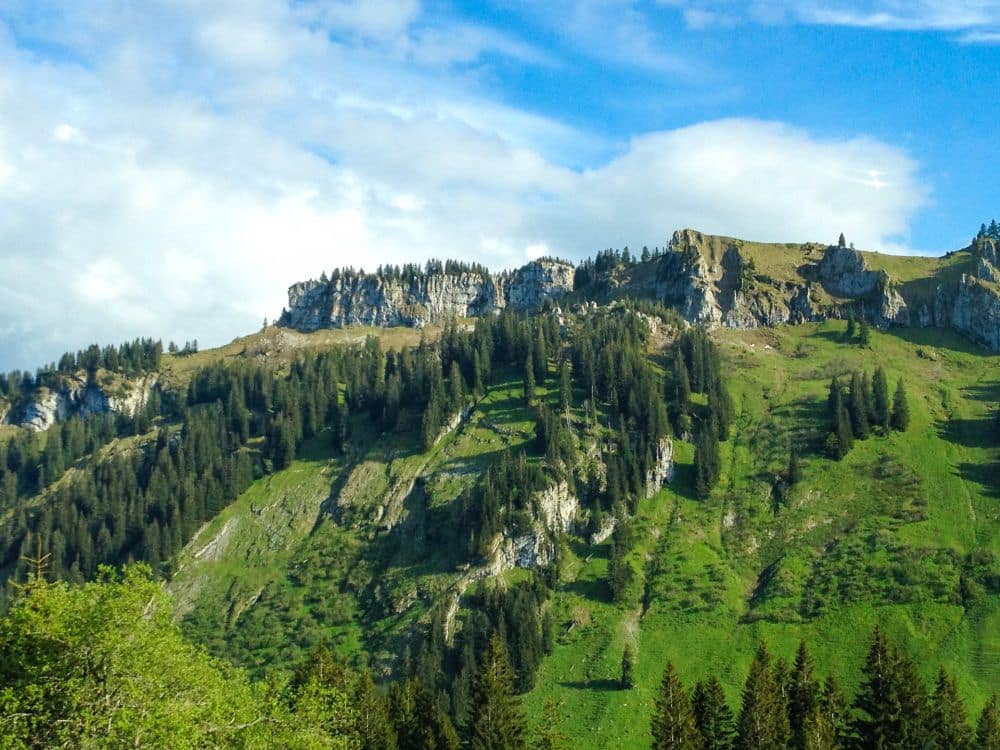 Ein üppig grüner Berg mit felsigen Klippen und vereinzelten Kiefern erhebt sich unter einem teilweise bewölkten blauen Himmel im Herzen der Alpen bei Oberstdorf. Das Sonnenlicht beleuchtet die grasbewachsenen Hänge und bewaldeten Flächen.