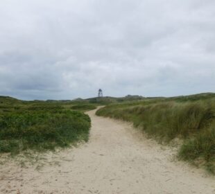 Ein Sandweg schlängelt sich durch grasbewachsene Dünen unter einem wolkenverhangenen Himmel in Blavand, Westdänemark. In der Ferne am Horizont ist ein kleines Gebäude zu erkennen.