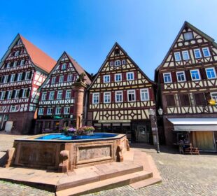Bunte Fachwerkhäuser mit steilen Dächern und dekorativen Fassaden säumen einen kopfsteingepflasterten Platz in Calw, in dessen Mitte ein steinerner Brunnen mit einem Blumenarrangement steht, unter einem klaren blauen Himmel.