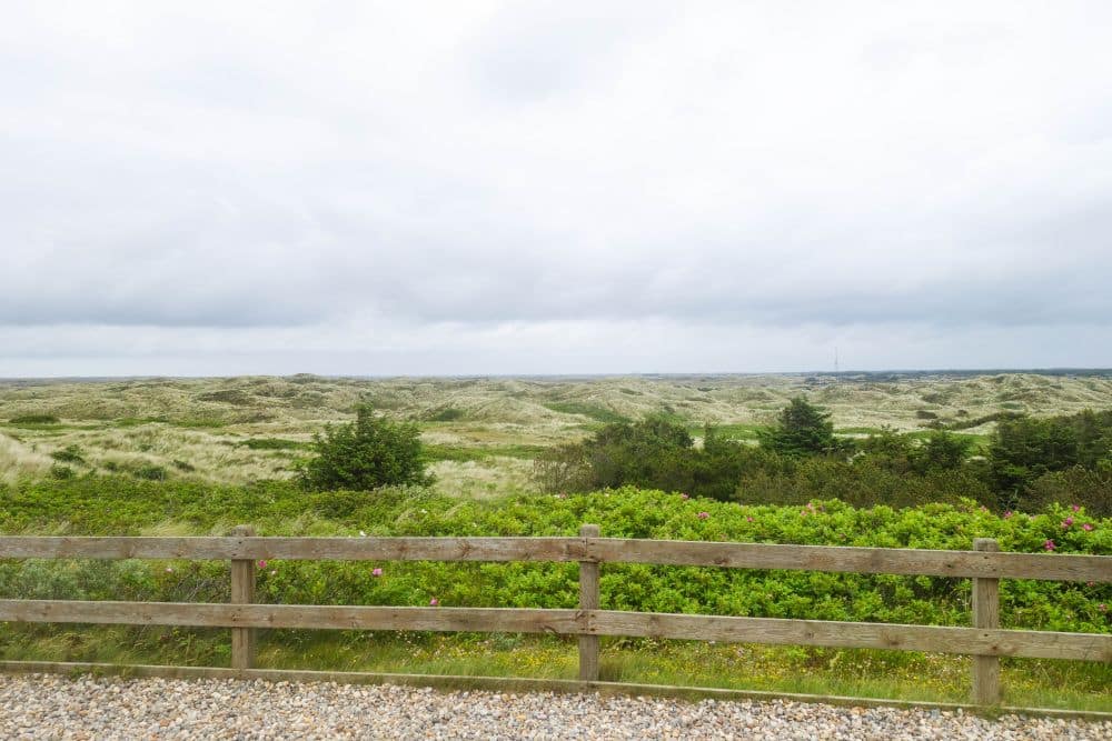 Ein Holzzaun grenzt an eine Kiesfläche mit grünen Sträuchern und Bäumen dahinter, die zu wildromantischen, hügeligen Grasdünen unter einem wolkenverhangenen Himmel führt - und damit den einzigartigen Charme von Blavand in Dänemarks Westen einfängt.