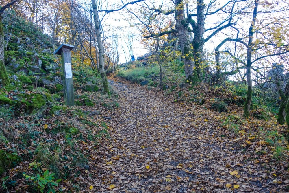 Ein mit Herbstlaub bedeckter Waldweg schlängelt sich in der Rhön bergauf, umgeben von Bäumen mit gelbem und orangefarbenem Laub. Auf der linken Seite des Weges steht ein Holzschild mit einem Hinweis, das zu einem echten Wanderabenteuer einlädt.