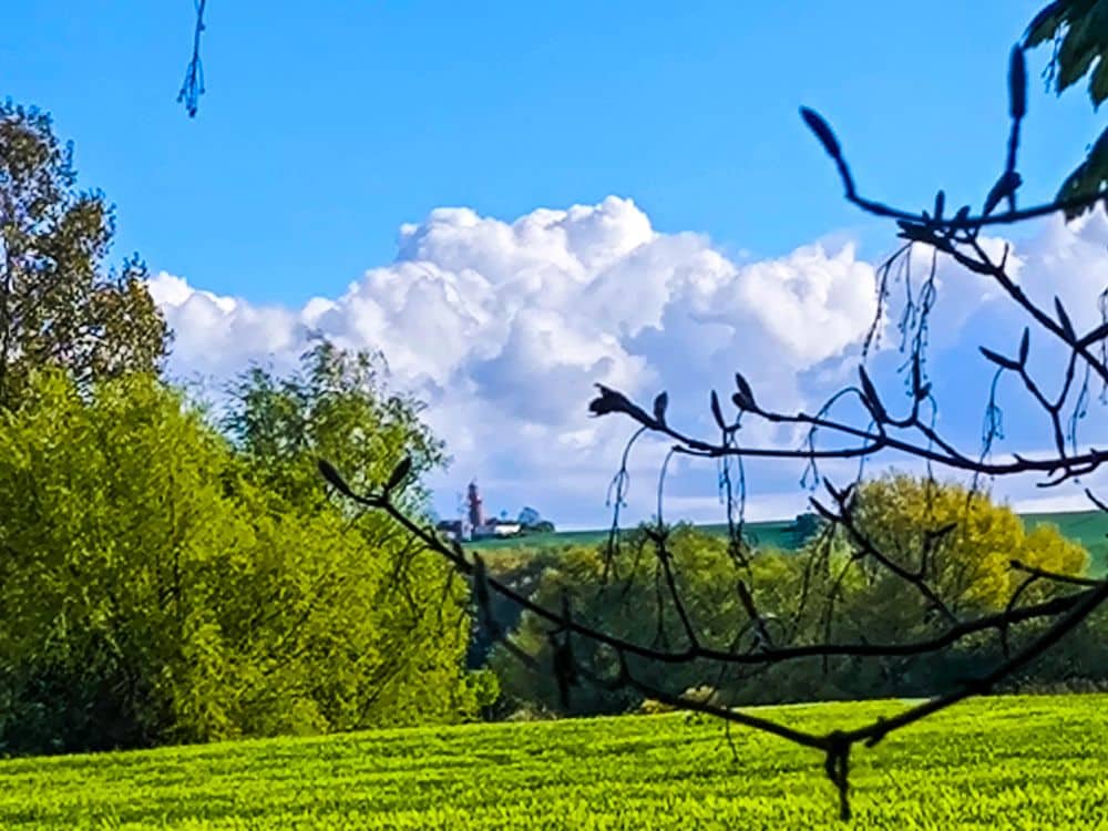 Grünes Feld und belaubte Bäume im Vordergrund, mit Kühlungsborns entfernten Gebäuden auf einem Hügel unter einem blauen Himmel mit großen, flauschigen Wolken. Kahle Äste umrahmen diese friedliche Ostsee-Auszeit oben rechts.