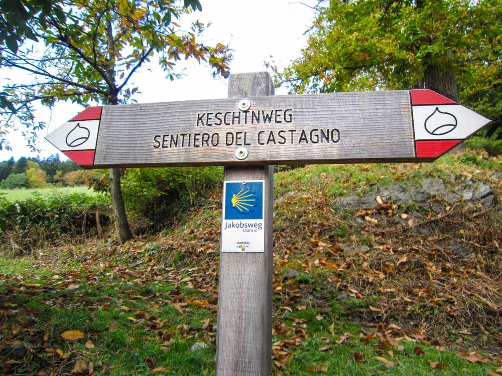 Ein hölzernes Wegweiserschild in Feldthurns, Südtirol, mit Pfeilen für den "Keschtnweg" und den "Sentiero del Castagno", ist mit einem blauen "Jakobsweg"-Aufkleber und Kastaniensymbolen versehen. Der malerische Hintergrund ist mit Bäumen und Gras gefüllt.