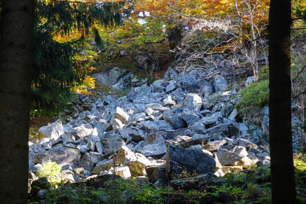 Am Fuße eines bewaldeten Hangs in der Rhön liegt ein Haufen großer grauer Felsen, umgeben von grünen Bäumen und beleuchtet vom Sonnenlicht, das durch das Herbstlaub fällt - ein perfekter Ort für ein Wanderabenteuer.