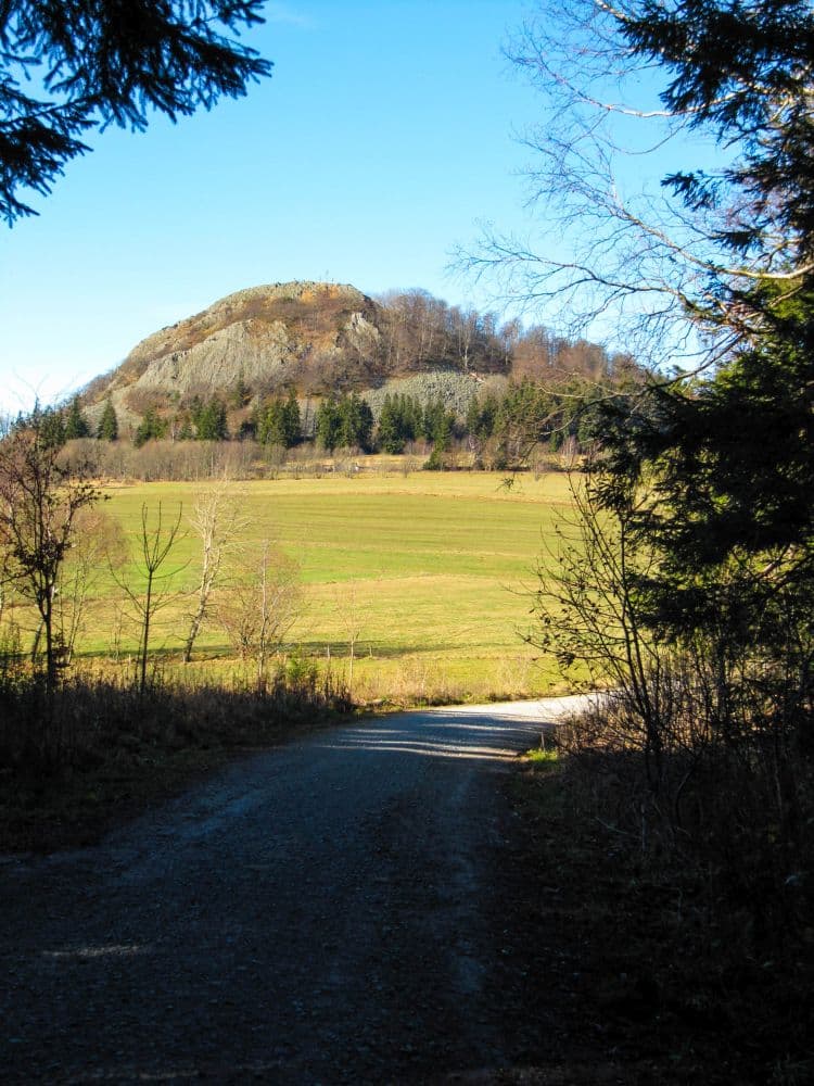 Ein Schotterweg führt durch Bäume auf eine sonnenbeschienene Wiese, im Hintergrund erhebt sich die felsige, baumbestandene Milseburg unter einem strahlend blauen Himmel - perfekt für ein Rhöner Wanderabenteuer.