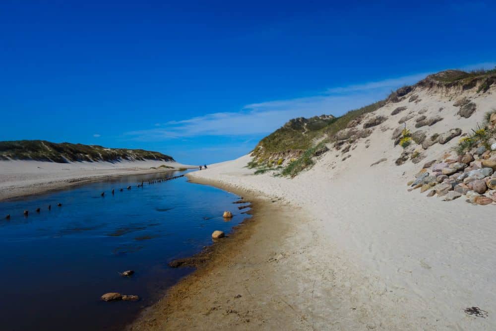 Ein schmaler Bach fließt entlang sandiger Dünen unter einem klaren blauen Himmel in Dänemarks Westen. Spärliche Vegetation und Felsen säumen die wildromantischen Dünen, und in der Ferne sind zwei kleine Figuren zu sehen, die über den Sand laufen.