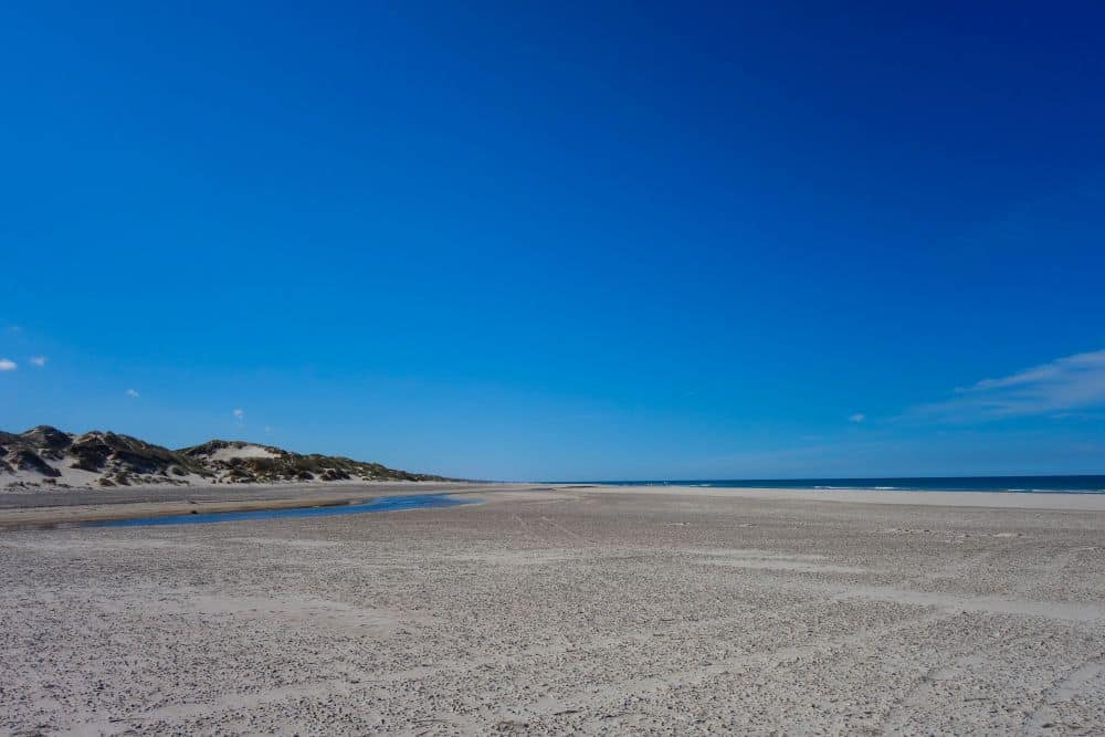 Ein breiter Sandstrand in der Nähe von Blavand erstreckt sich unter einem klaren, strahlend blauen Himmel bis zu den fernen Dünen. Es sind keine Menschen zu sehen, und das ruhige Meer am Horizont erinnert an den friedlichen, wildromantischen Westen von Dänemarks Westen.
