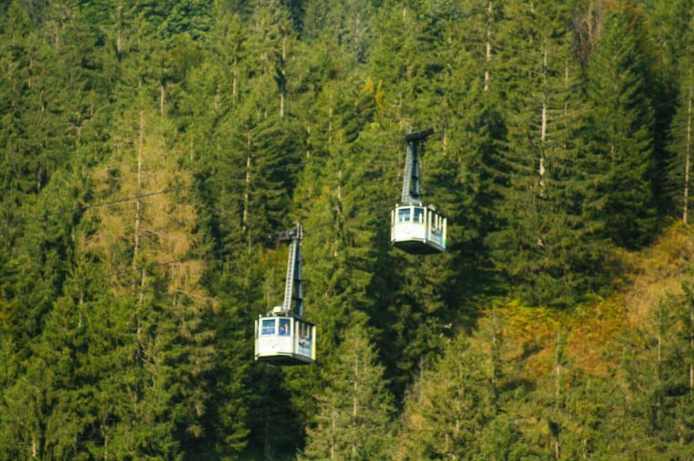 Zwei Seilbahnen fahren über einen dichten grünen Wald in der Nähe von Oberstdorf, an Seilen hängend, vor einer Kulisse von hohen Alpen-Evergreens an einem Berghang.