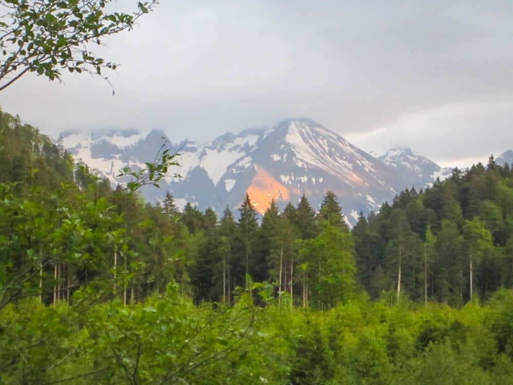 Schneebedeckte Alpenberge unter einem wolkenverhangenen Himmel, wobei ein Fleck Sonnenlicht einen Teil des Hangs beleuchtet. Dichter grüner Wald füllt den Vordergrund in der Nähe von Oberstdorf und schafft eine ruhige Naturlandschaft.