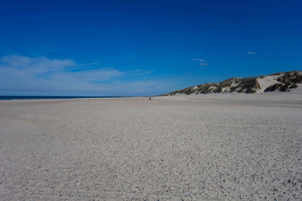 Ein breiter, leerer Sandstrand erstreckt sich unter einem strahlend blauen Himmel mit vereinzelten Wolken. Sanddünen mit spärlicher Vegetation säumen die rechte Seite und schaffen eine wildromantische Atmosphäre, die typisch für Dänemarks Westen bei Blavand ist. Das Meer ist am linken Horizont zu sehen.