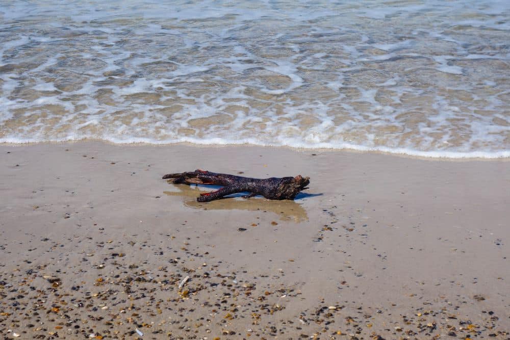 Ein Stück dunkles Treibholz liegt auf nassem Sand am Rande der sanften Meereswellen in Blavand, mit kleinen Kieselsteinen, die entlang der wildromantischen Küstenlinie des Westen Dänemarks verstreut sind.