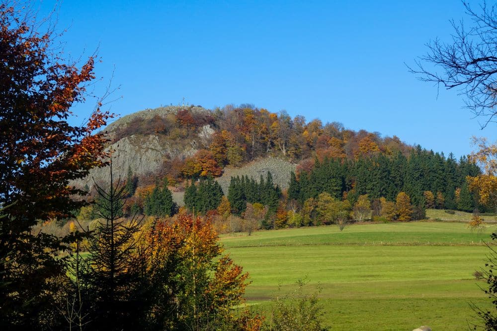 Eine Wiese mit bunten Herbstbäumen im Vordergrund, immergrüne Bäume und die mit Herbstlaub bedeckte Milseburg in der Rhön bei strahlend blauem Himmel - perfekt für Wanderfreunde.