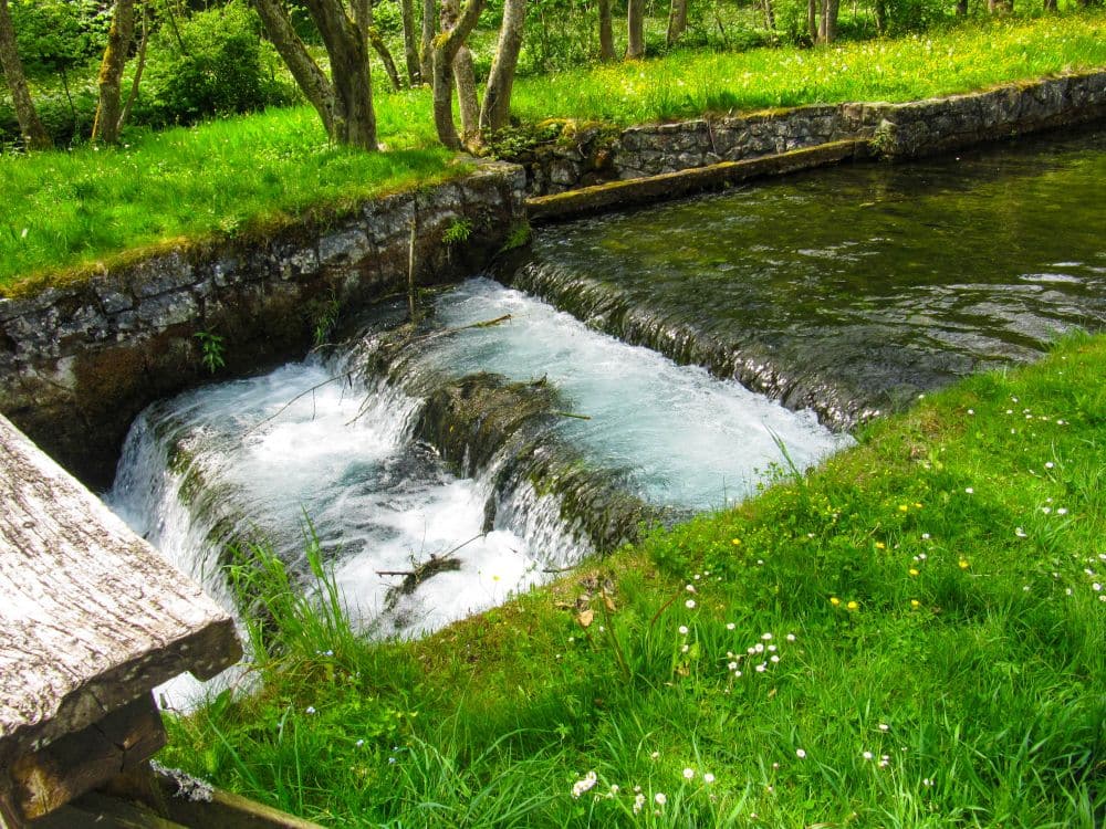 Ein kleiner, klarer Bach fließt über einen Steinsockel in ein Becken im Kleinen Lautertal, umgeben von saftig grünem Gras, Wildblumen und Bäumen - perfekt für eine friedliche Wanderung oder eine ruhige Auszeit an einem sonnigen Tag.