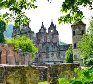 Ein historisches Steinschloss in Hirsau mit verschnörkelten Türmen und Bogenfenstern wird an einem sonnigen Tag teilweise von grünen Bäumen verdeckt und von alten Steinmauern umgeben.