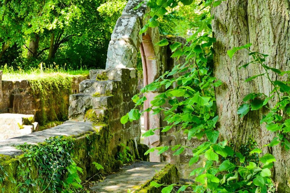 Moosbewachsene Steinruine in Hirsau mit einem gewölbten Portal, umgeben von üppig grünen Bäumen und Efeu. Das Sonnenlicht dringt durch die Blätter und schafft eine friedliche, überwucherte Szene.