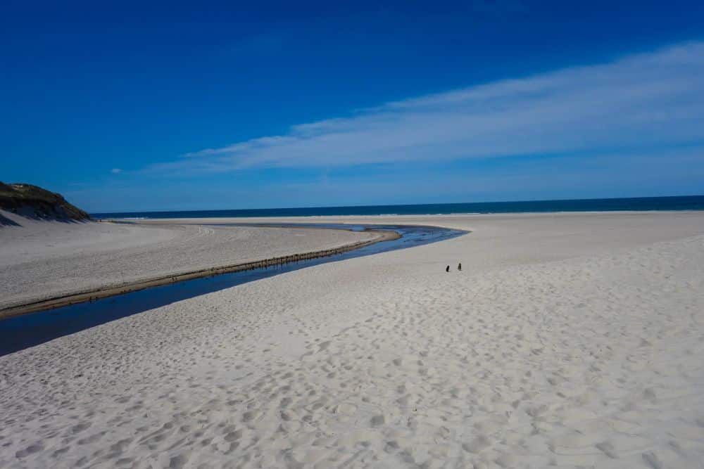 Ein breiter, von Dünen gesäumter Sandstrand in Blavand unter einem strahlend blauen Himmel, mit einem kleinen, gewundenen Bach, der in Dänemarks Westen zum Meer fließt. Zwei kleine Figuren spazieren in der Nähe des Ufers.