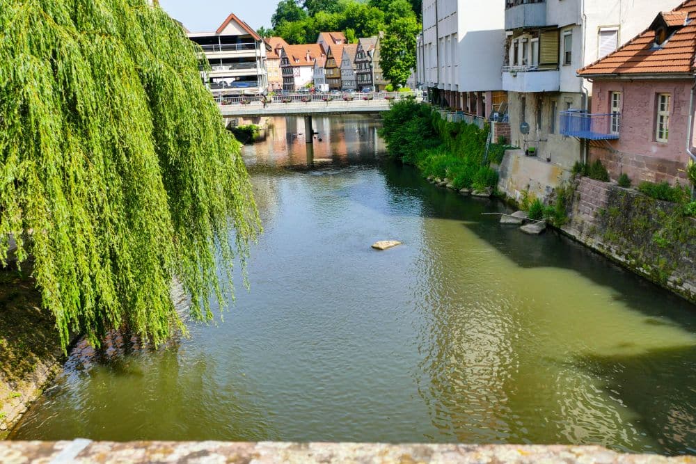Ein ruhiger Fluss fließt durch die von Gebäuden und Bäumen gesäumte Stadt Calw; links hängt eine Weide über dem Wasser, im Hintergrund sind eine Brücke und Fachwerkhäuser zu sehen.