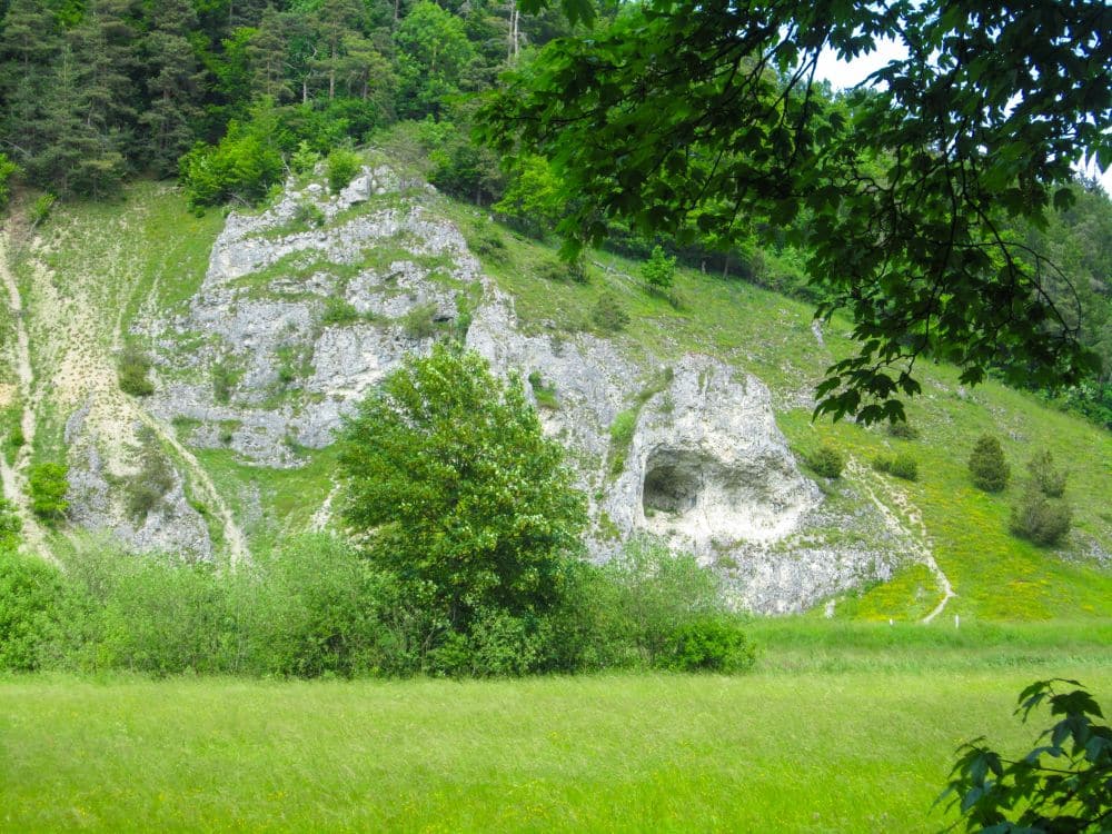 Eine Wiese mit üppig grünen Bäumen vor einem felsigen Hang mit einer großen höhlenartigen Öffnung - perfekt für eine Wanderung durch das Kleine Lautertal und eine Auszeit unter einem teilweise bewölkten Himmel.