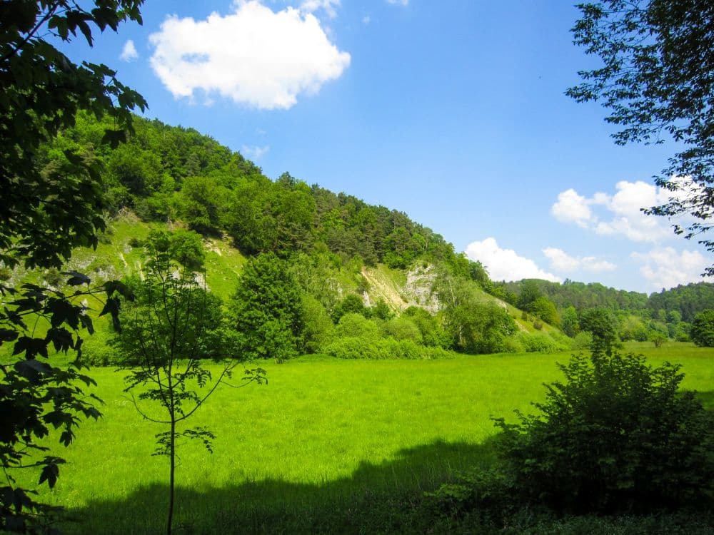 Eine saftig grüne Wiese im Kleinen Lautertal, gesäumt von dichten Bäumen und einem bewaldeten Hang unter einem strahlend blauen Himmel mit vereinzelten Wolken - perfekt für eine ruhige Wanderung oder eine Auszeit in der Umarmung der Natur.