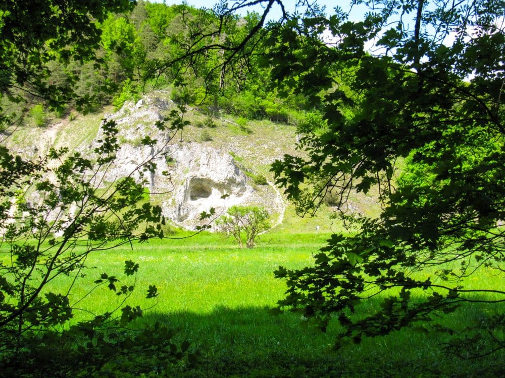 Eine saftig grüne Wiese, umrahmt von Baumzweigen, lädt zu einer Auszeit ein, mit einem felsigen Abhang und vereinzelten Bäumen im Hintergrund - perfekt für eine Wanderung im malerischen Kleinen Lautertal unter einem teilweise bewölkten Himmel.