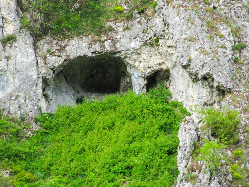 Eine felsige Felswand mit zwei Höhlenöffnungen erhebt sich über dichter grüner Vegetation und Sträuchern am Fuß - ein perfekter Ort im Kleinen Lautertal für eine ruhige Auszeit oder eine aussichtsreiche Wanderung.