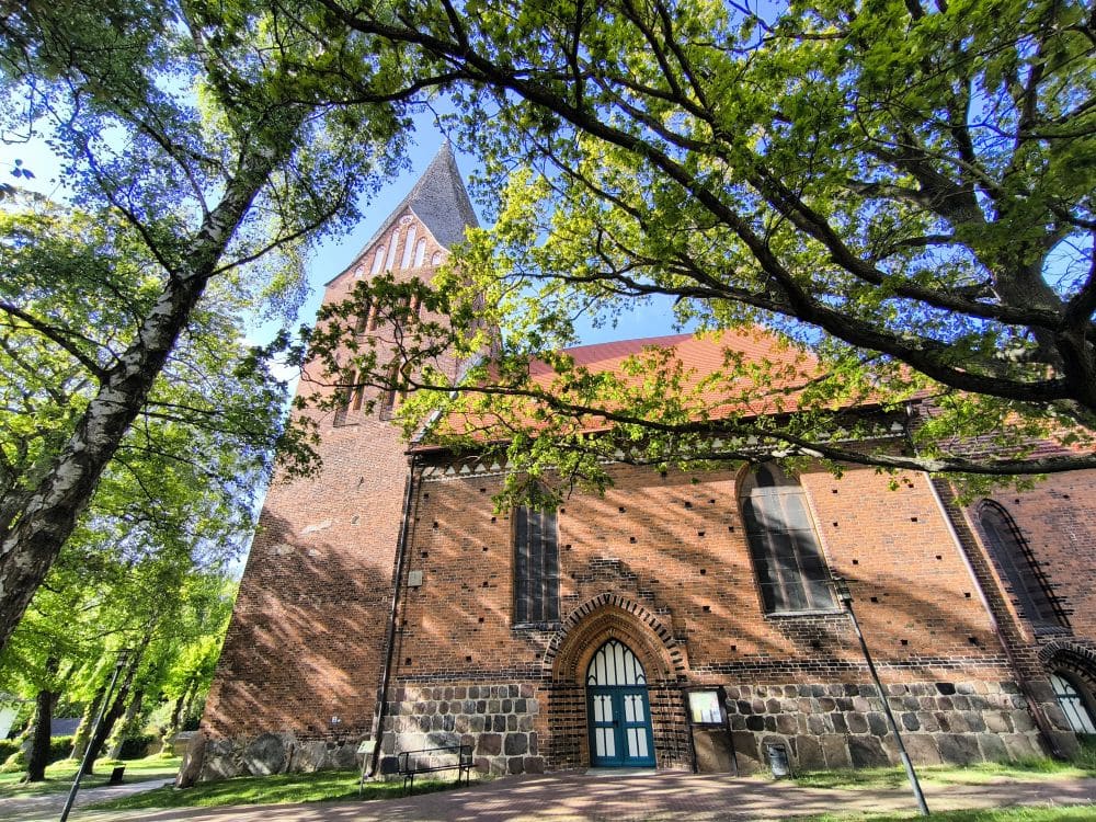 Eine große Backsteinkirche mit gewölbten Fenstern und einem spitzen Dach steht zwischen hohen grünen Bäumen in Neubukow. Das Sonnenlicht bricht durch die Äste und wirft Schatten auf das Gebäude und den Kopfsteinpflasterweg darunter.