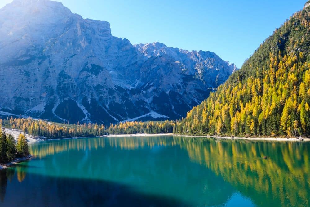 Ein klarer türkisfarbener See, der Pragser Wildsee, gesäumt von einem Wald aus grünen und gelben Bäumen, mit hohen felsigen Bergen im Hintergrund, die sich unter einem strahlend blauen Himmel erheben.