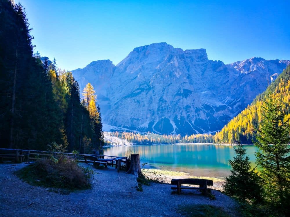Ein malerischer Blick auf den Pragser Wildsee, seinen türkisfarbenen See, umgeben von Kiefern und Bergen, mit Bänken und einem Feldweg im Vordergrund, unter einem klaren blauen Himmel.