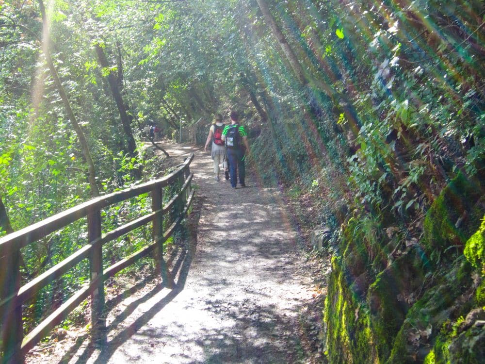 Ein sonnenbeschienener Waldweg, bekannt als Brandiswaalweg, mit einem Holzgeländer schlängelt sich an moosbewachsenen Felsen und grünen Bäumen vorbei. Ein paar Menschen gehen im gedämpften Sonnenlicht voran, während bunte Lichtreflexe über das Bild tanzen.