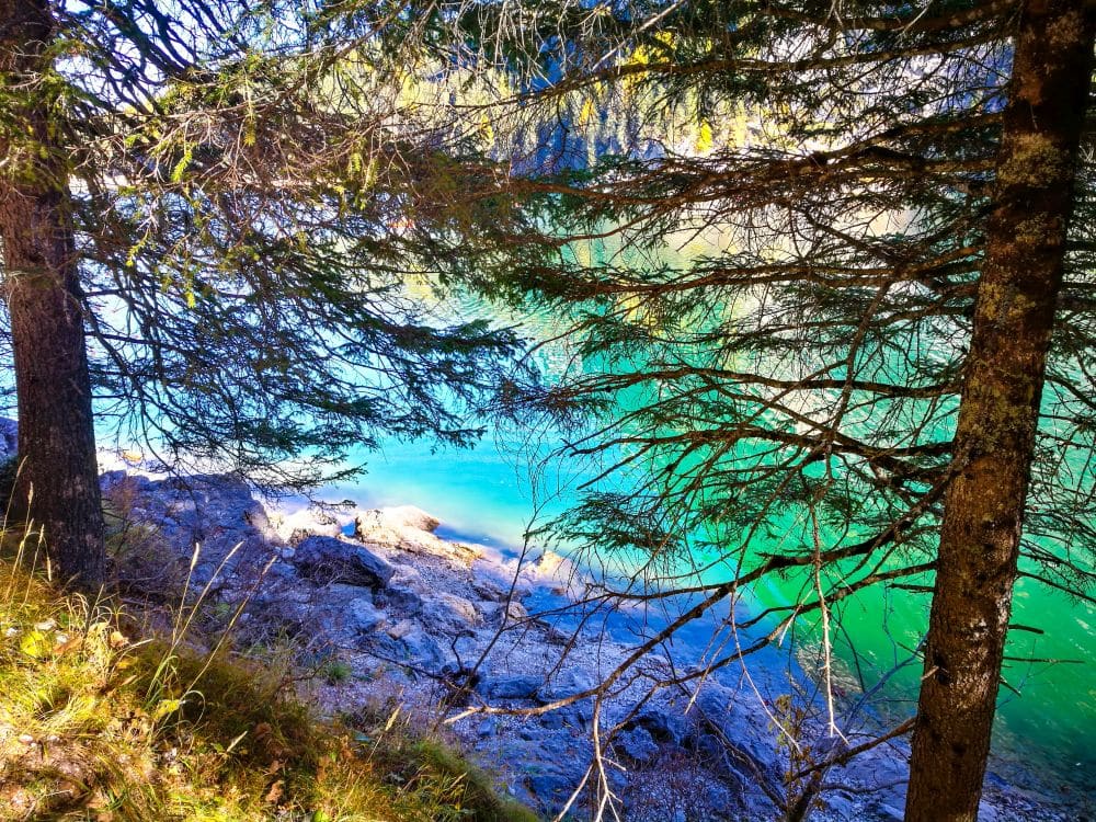 Das Sonnenlicht scheint durch immergrüne Bäume auf ein felsiges Ufer am türkisgrünen Pragser Wildsee und schafft eine lebendige und friedliche Naturszene.