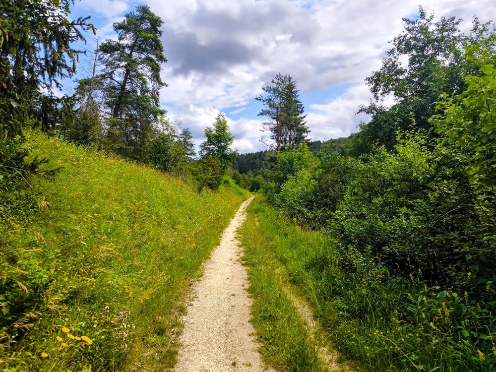 In der Nähe von Hayingen schlängelt sich ein schmaler Feldweg durch saftig-grünes Gras und dichte Bäume unter einem teilweise bewölkten Himmel, der eine friedliche Kulisse für die Wanderung Glastal oder Hochgehschätzt bietet.