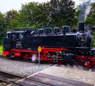 Eine alte schwarze Dampflokomotive, bekannt als Rasende Roland, mit roten Rädern und Details stößt Dampf aus, während sie auf den Bahngleisen in der Nähe einer gepflasterten Fläche, umgeben von Bäumen und Grün auf der Insel Rügen, steht.