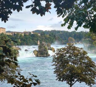 Ein breiter Wasserfall, der Rheinfall bei Schaffhausen, fließt über Felsen, umgeben von Bäumen mit Herbstlaub, mit einem Gebäude und bewaldeten Hügeln im Hintergrund unter einem bewölkten Himmel. Erleben Sie Europas größten Wasserfall in atemberaubender Kulisse.
