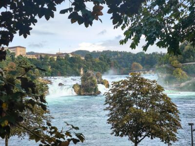 Ein breiter Wasserfall, der Rheinfall bei Schaffhausen, fließt über Felsen, umgeben von Bäumen mit Herbstlaub, mit einem Gebäude und bewaldeten Hügeln im Hintergrund unter einem bewölkten Himmel. Erleben Sie Europas größten Wasserfall in atemberaubender Kulisse.