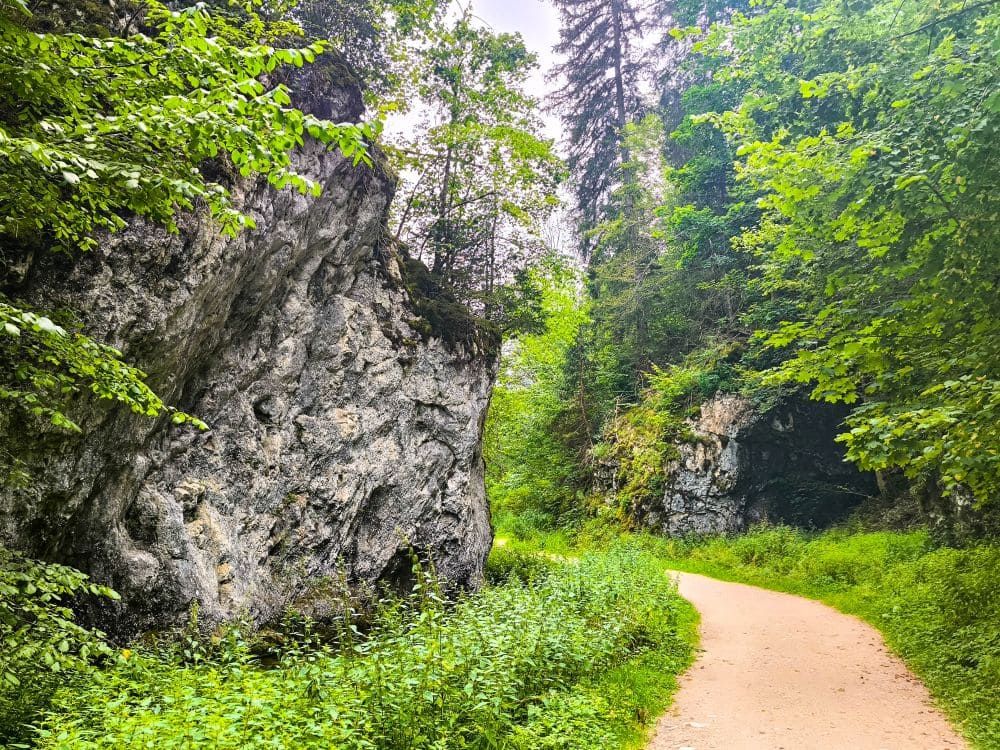 In der Nähe von Hayingen schlängelt sich ein unbefestigter Weg durch üppige grüne Wälder und felsige Klippen, mit hohen Bäumen und dichtem Laub auf beiden Seiten - perfekt für eine Hochgehschätzt Wanderung Glastal unter einem hellen, bewölkten Himmel.