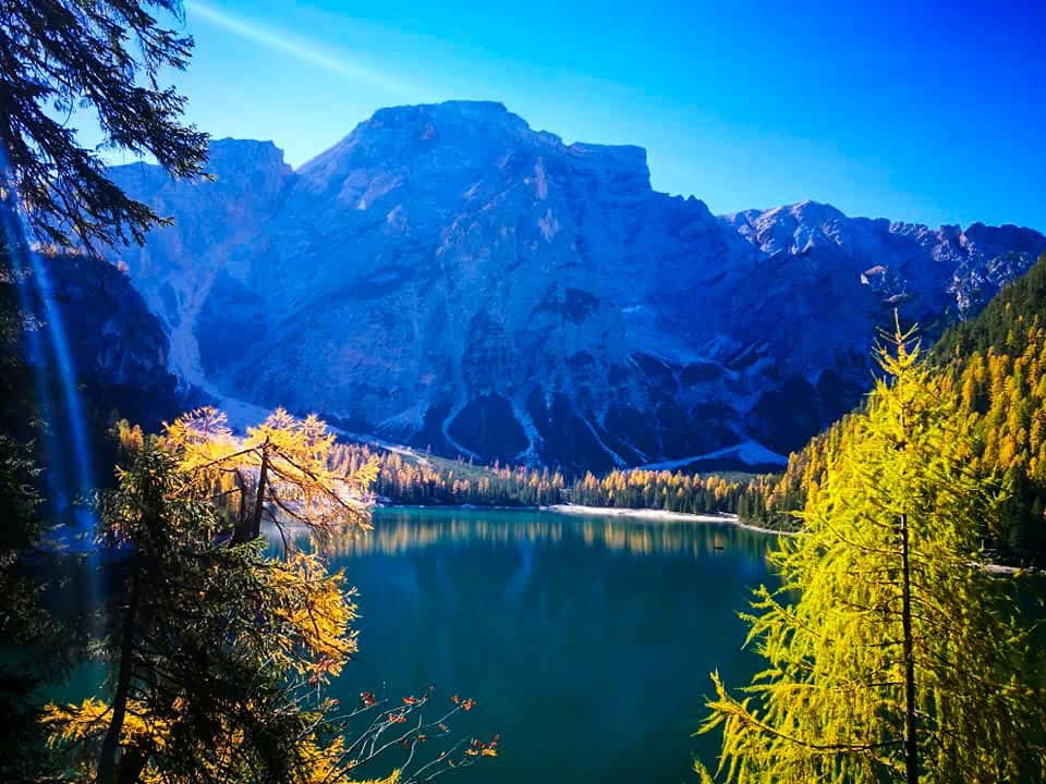 In einem klaren See, dem Pragser Wildsee, spiegeln sich hohe Berge unter einem strahlend blauen Himmel, umgeben von Kiefern, deren grünes und goldgelbes Laub im Sonnenlicht glänzt.