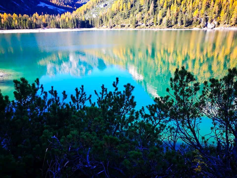 Ein klarer türkisfarbener See, wie der Pragser Wildsee, spiegelt gelbgrüne Bäume an einem sonnigen Hang wider, mit Sträuchern und Laub im Vordergrund. Im ruhigen Wasser spiegeln sich die leuchtenden Farben der Landschaft und des Himmels.