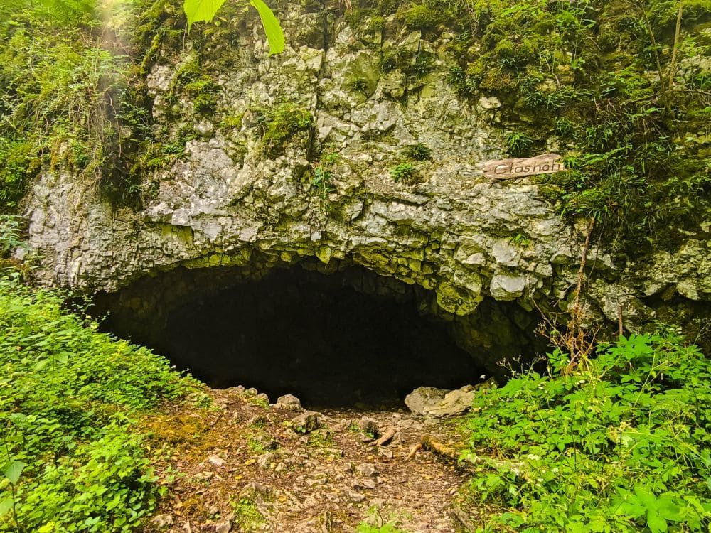Ein felsiger Höhleneingang umgeben von dichter grüner Vegetation in der Nähe von Hayingen. Ein kleines Schild mit Glashöhle ist an der Felswand über dem Höhleneingang angebracht und markiert einen Höhepunkt der Hochgehschätzt Wanderung Glastal.