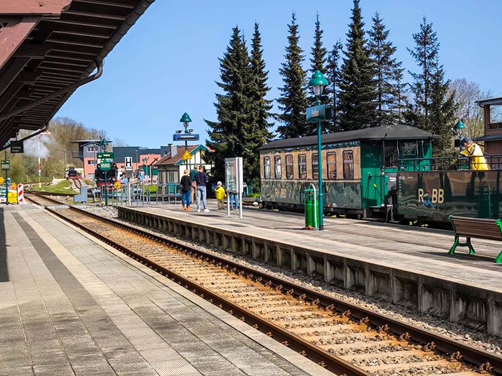 Ein alter grüner Rasende Roland-Zug hält an einem kleinen Außenbahnhof mit Holzbahnsteigen auf Rügen. Mehrere Menschen stehen in der Nähe, und hohe immergrüne Bäume säumen den Hintergrund unter einem klaren Himmel.