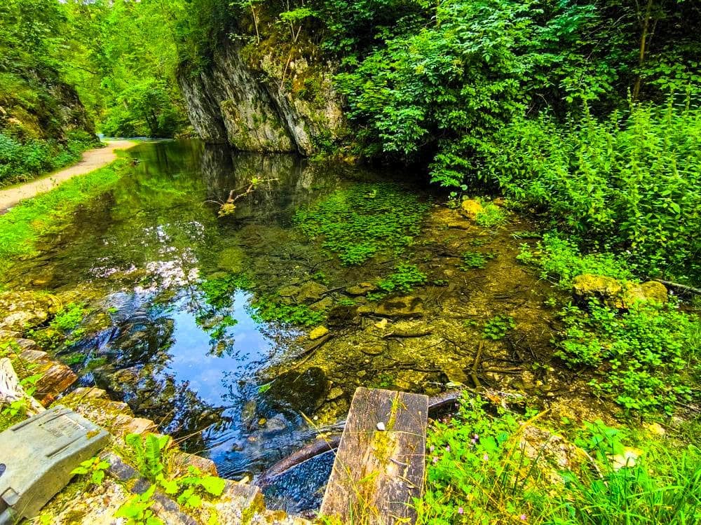 Ein klarer Bach fließt neben einem Waldweg in Hayingen, umgeben von üppigen Pflanzen und Bäumen, mit einer felsigen Klippe im Hintergrund - perfekt für eine Hochgehschätzt Wanderung Glastal Abenteuer. Alte Holzbretter liegen am Ufer des Baches.