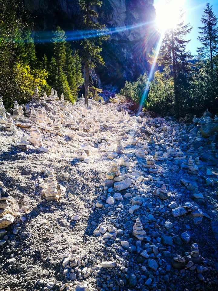Das Sonnenlicht fällt durch die hohen Bäume auf den felsigen Waldboden, der mit Dutzenden von kleinen Steinhaufen bedeckt ist, und erzeugt helle Lichter und tiefe Schatten, die an die ruhigen Pfade am Pragser Wildsee erinnern.